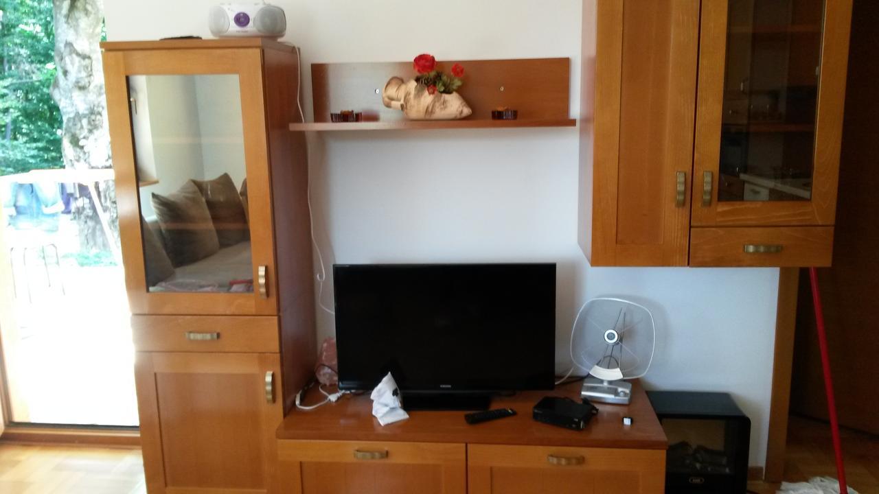 Apartment Joksimovic ズラティボール エクステリア 写真