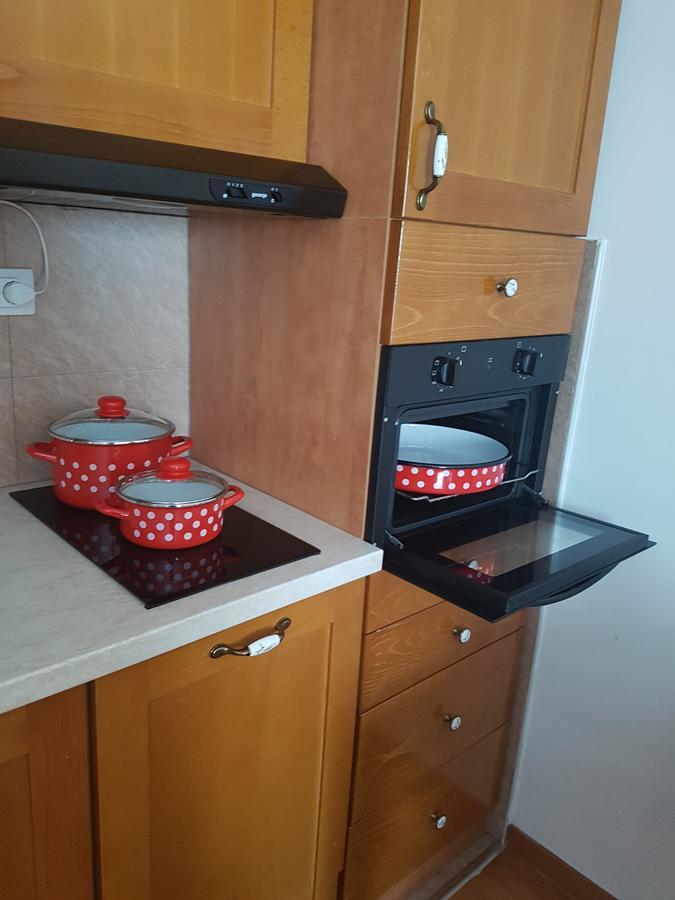 Apartment Joksimovic ズラティボール エクステリア 写真