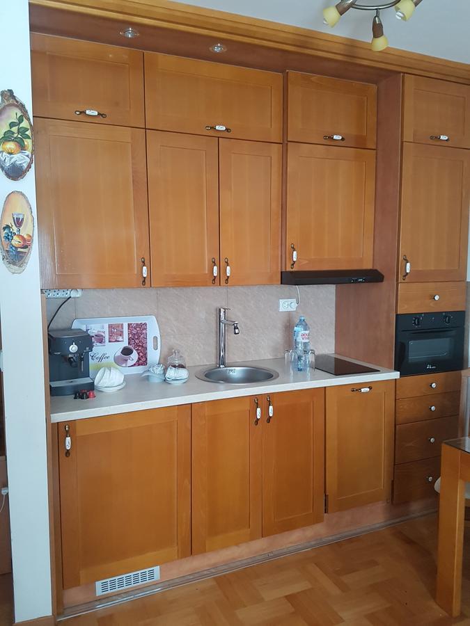 Apartment Joksimovic ズラティボール エクステリア 写真